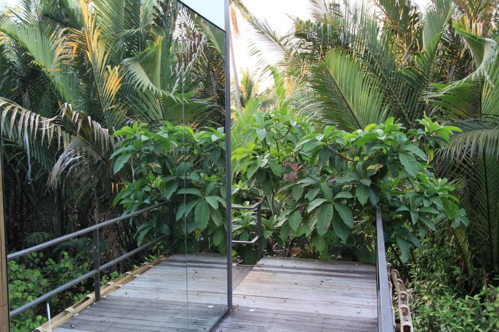 Bangkok Tree House Bang Kachao Hotel Exterior photo